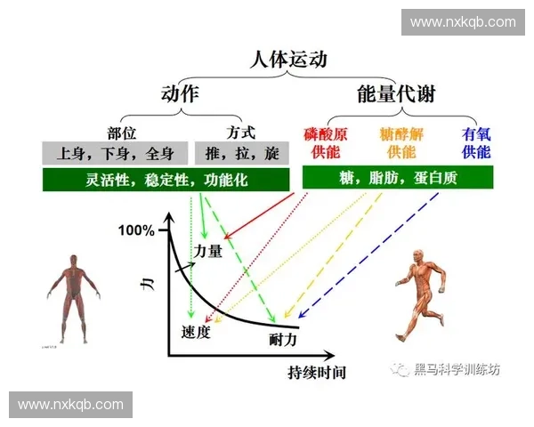 急停变向技巧解析与实战应用全面提升运动灵活性训练 急停变向技巧解析与实战应用全面提升运动灵活性训练